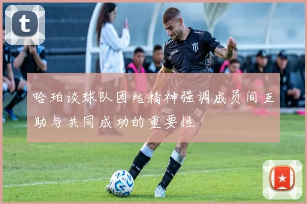 哈珀谈球队团结精神强调成员间互助与共同成功的重要性