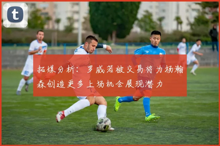 拓媒分析：罗威若被交易将为杨瀚森创造更多上场机会展现潜力