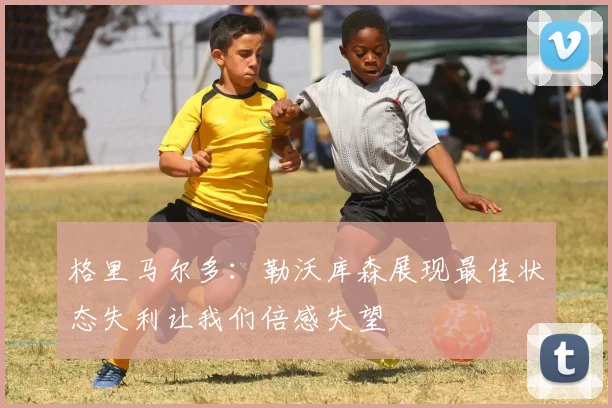 格里马尔多：勒沃库森展现最佳状态失利让我们倍感失望